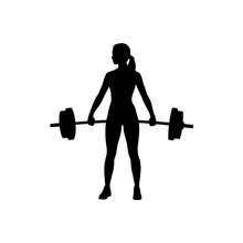 Body & fitness equipment